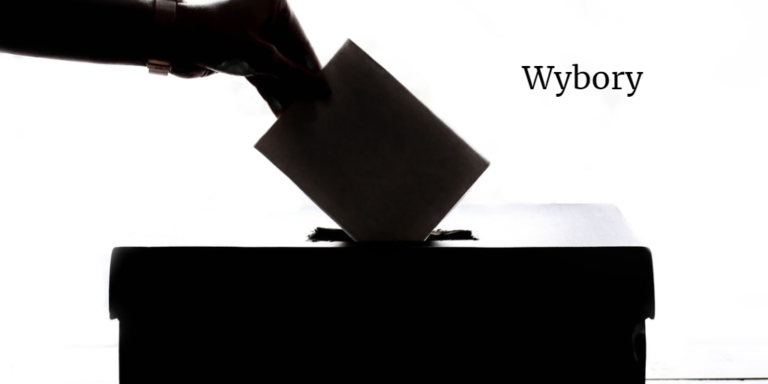 wybory