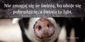 Nie zmagaj się ze świnią